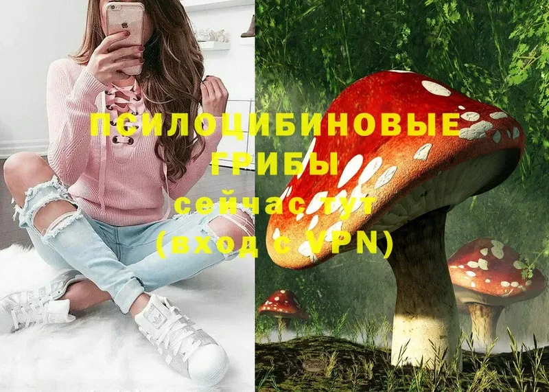 Галлюциногенные грибы MAGIC MUSHROOMS  Демидов 